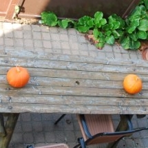 Charmehotel De stokerij te Oudenburg, West-Vlaanderen - Overnachten nabij Brugge, Oostende en De Haan